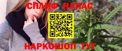 дмт Нальчик