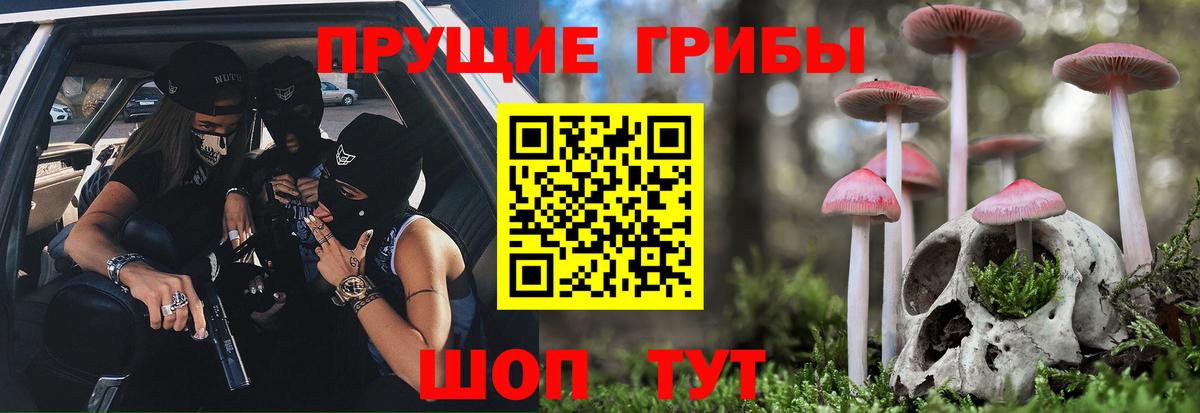 как найти   Псилоцибиновые грибы MAGIC MUSHROOMS  Вход с VPN  Псилоцибиновые грибы Psilocybe  Тихвин 