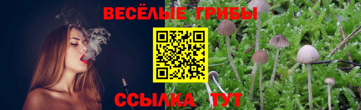 Псилоцибиновые грибы прущие грибы Тихвин
